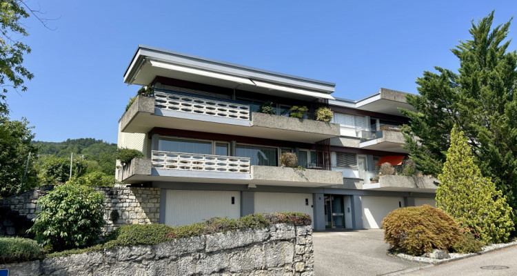 Au milieu des vignes image 2