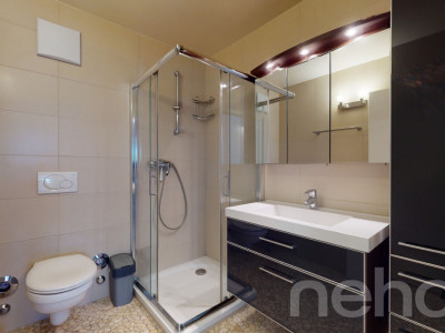 Appartement familial lumineux avec terrasse au coeur dEpalinges image 11