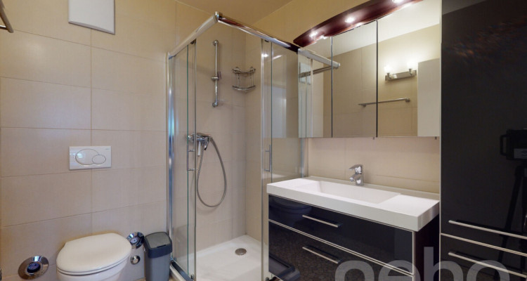 Appartement familial lumineux avec terrasse au coeur dEpalinges image 11