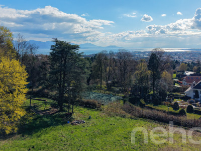 PARCELLE UNIQUE EN LISIÈRE DE FORÊT AUX PORTES DE LAUSANNE image 1