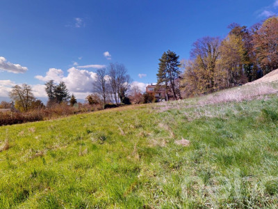 PARCELLE UNIQUE EN LISIÈRE DE FORÊT AUX PORTES DE LAUSANNE image 7