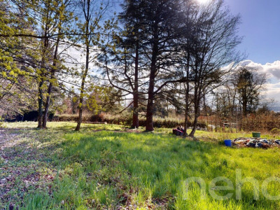 PARCELLE UNIQUE EN LISIÈRE DE FORÊT AUX PORTES DE LAUSANNE image 8