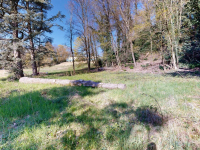 PARCELLE UNIQUE EN LISIÈRE DE FORÊT AUX PORTES DE LAUSANNE image 9