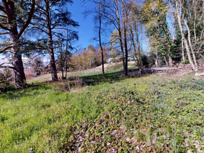 PARCELLE UNIQUE EN LISIÈRE DE FORÊT AUX PORTES DE LAUSANNE image 10
