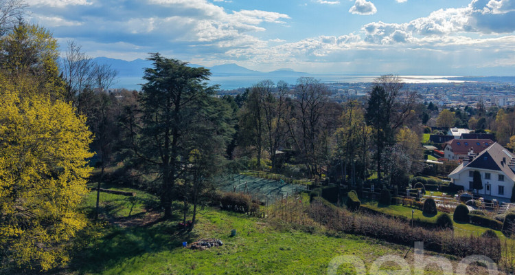 PARCELLE UNIQUE EN LISIÈRE DE FORÊT AUX PORTES DE LAUSANNE image 1