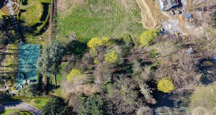 PARCELLE UNIQUE EN LISIÈRE DE FORÊT AUX PORTES DE LAUSANNE image 3