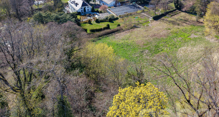 PARCELLE UNIQUE EN LISIÈRE DE FORÊT AUX PORTES DE LAUSANNE image 4