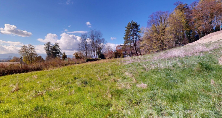 PARCELLE UNIQUE EN LISIÈRE DE FORÊT AUX PORTES DE LAUSANNE image 7