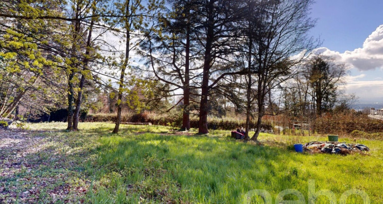 PARCELLE UNIQUE EN LISIÈRE DE FORÊT AUX PORTES DE LAUSANNE image 8