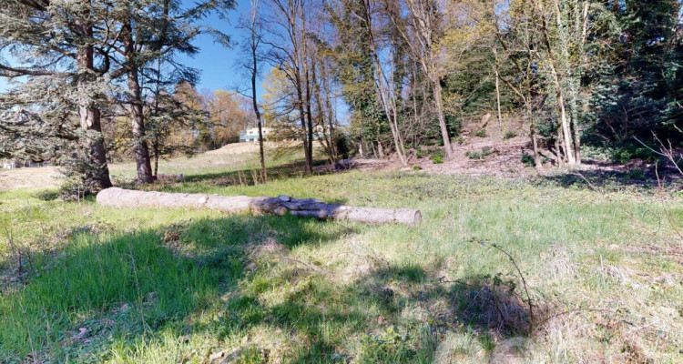 PARCELLE UNIQUE EN LISIÈRE DE FORÊT AUX PORTES DE LAUSANNE image 9