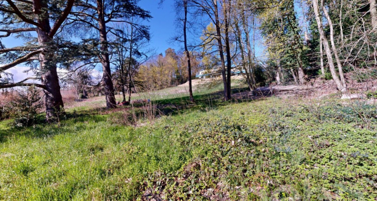 PARCELLE UNIQUE EN LISIÈRE DE FORÊT AUX PORTES DE LAUSANNE image 10