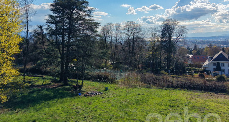 PARCELLE UNIQUE EN LISIÈRE DE FORÊT AUX PORTES DE LAUSANNE image 11