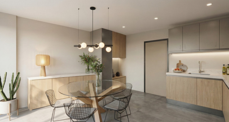 NEUF – Grand Duplex 3.5 pièces avec vue panoramique à budget maîtrisé – lot 303 image 4