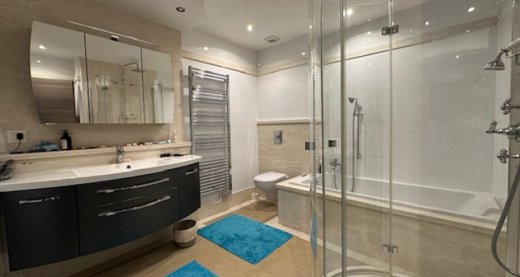 BEL APPARTEMENT DANGLE EN ATTIQUE AU CENTRE DU VILLAGE DEVIONNAZ image 7