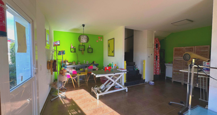 Villa en triplex avec bureau, au cœur des vignobles et des pommiers  image 9