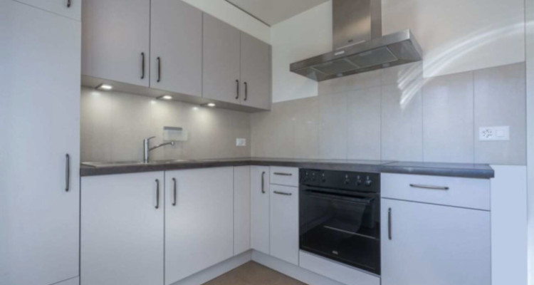 Au bord du lac - Appartement remis à neuf en exclusivité image 6