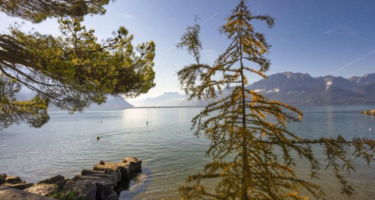 Au bord du lac - Appartement remis à neuf en exclusivité image 11