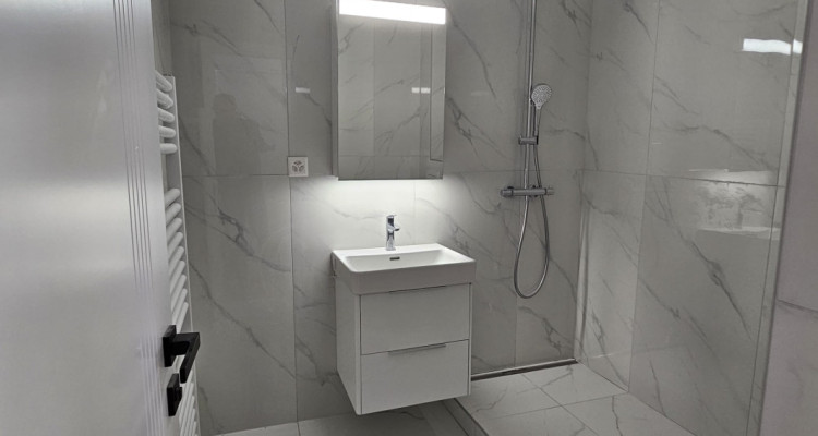 Au bord du lac - Appartement à louer image 7