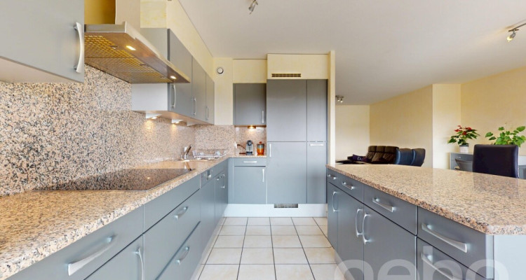 Gland, grand 5.5 pièces, lumineux et confortable proche du lac image 5