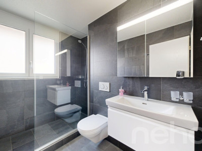 Superbe maison mitoyenne avec grande terrasse image 7