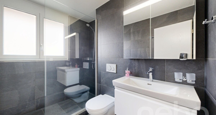 Superbe maison mitoyenne avec grande terrasse image 7