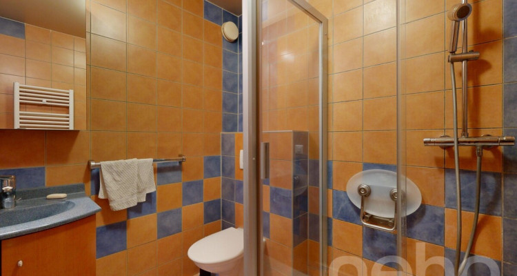 Appartement avec panorama sur le lac et les Alpes, proche du centre image 12
