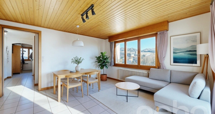 Charmante villa avec vue dégagée sur les Alpes et le lac image 5