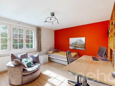 Cadre serein et luminosité exceptionnelle pour cette maison familiale image 8