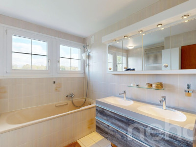 Cadre serein et luminosité exceptionnelle pour cette maison familiale image 9