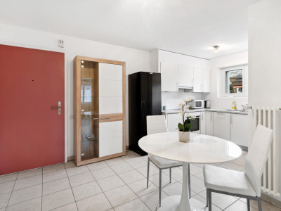 3.5 pièces lumineux surplombant le lac image 6