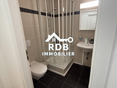 Magnifique appartement de 6 pièces au 4ème étage situé à Genève 1202 image 9