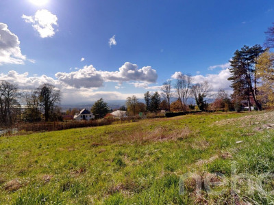 PARCELLE UNIQUE EN LISIÈRE DE FORÊT AUX PORTES DE LAUSANNE image 5