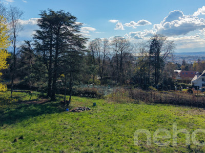 PARCELLE UNIQUE EN LISIÈRE DE FORÊT AUX PORTES DE LAUSANNE image 11
