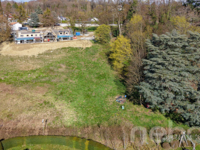 PARCELLE UNIQUE EN LISIÈRE DE FORÊT AUX PORTES DE LAUSANNE image 12