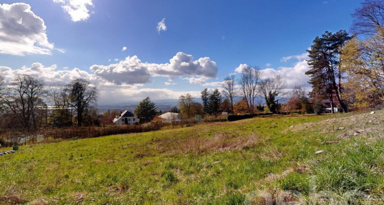 PARCELLE UNIQUE EN LISIÈRE DE FORÊT AUX PORTES DE LAUSANNE image 5