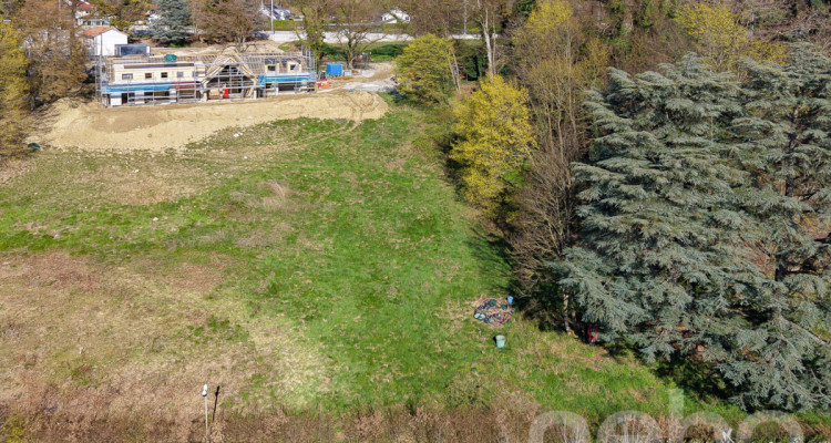 PARCELLE UNIQUE EN LISIÈRE DE FORÊT AUX PORTES DE LAUSANNE image 12