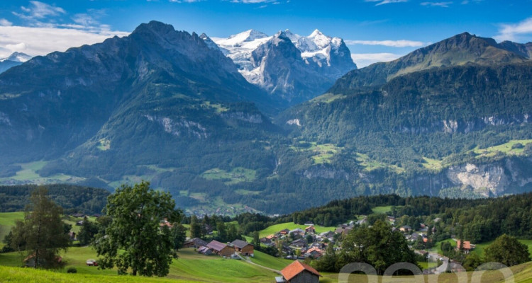 3.5-Zimmerwohnung mit Panorama Bergsicht auf dem Hasliberg image 10
