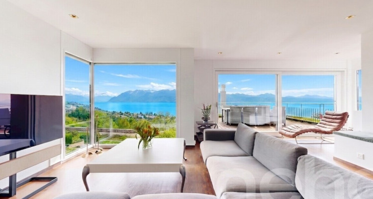 Vue panoramique d?exception au c?ur du Lavaux à La Conversion image 2