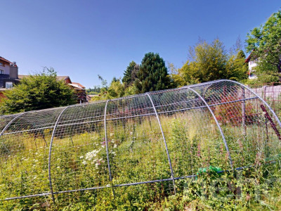 Villa Individuelle à Ste croix image 12