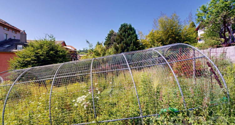 Villa Individuelle à Ste croix image 12