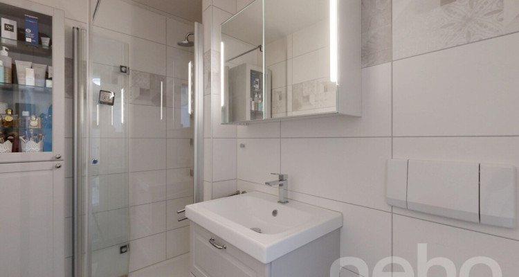 Appartement lumineux avec grande terrasse au c?ur de Châtel image 12