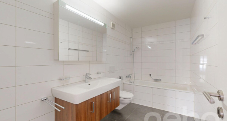 Belle vue sur le lac pour cet appartement lumineux et spacieux ! image 9