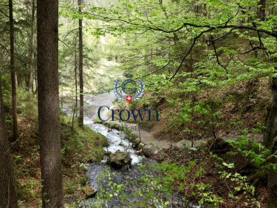 Natural setting and generous volumes image 1