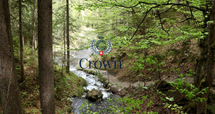 Natural setting and generous volumes image 1