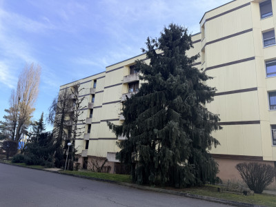 Coup de cœur: traversant rénové avec goût, lumineux avec balcons image 6