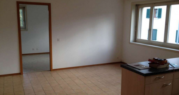 Magnifique 2,5p // 1 chambre // Granges-Paccot image 2