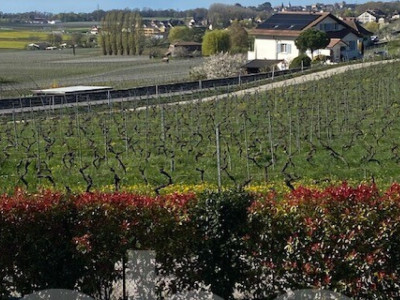 Maison contemporaine aux volumes dexception avec vue lac et Alpes image 4