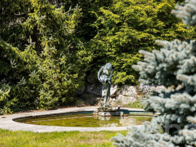 Stilvolles Mehrgenerationenhaus mit Terrasse und viel Privatsphäre image 10