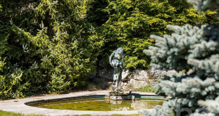 Stilvolles Mehrgenerationenhaus mit Terrasse und viel Privatsphäre image 10