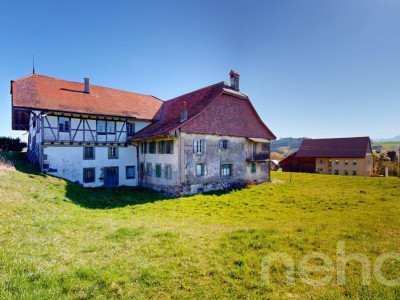 Rare opportunité de créer plusieurs appartements image 12